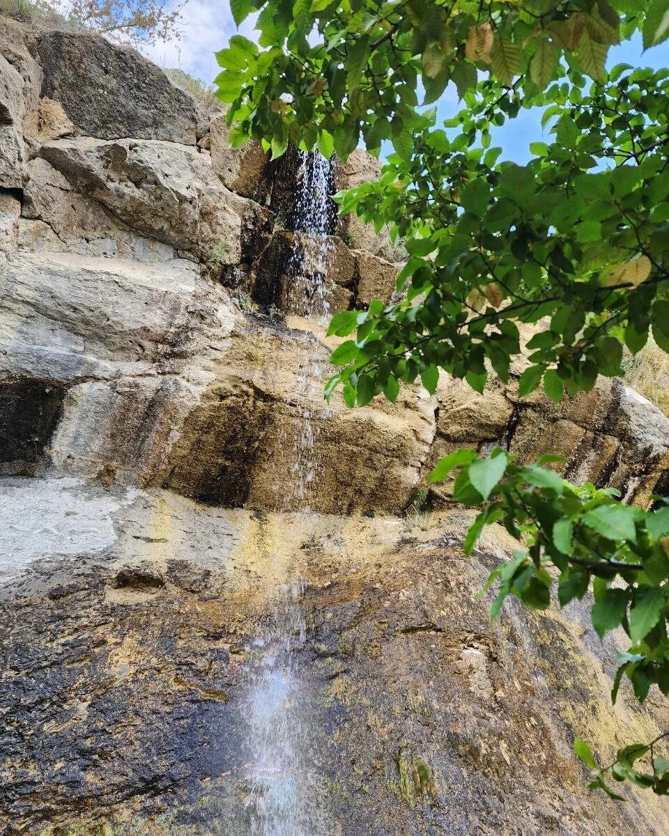 Фото Эко-усадьба Зеленогорье