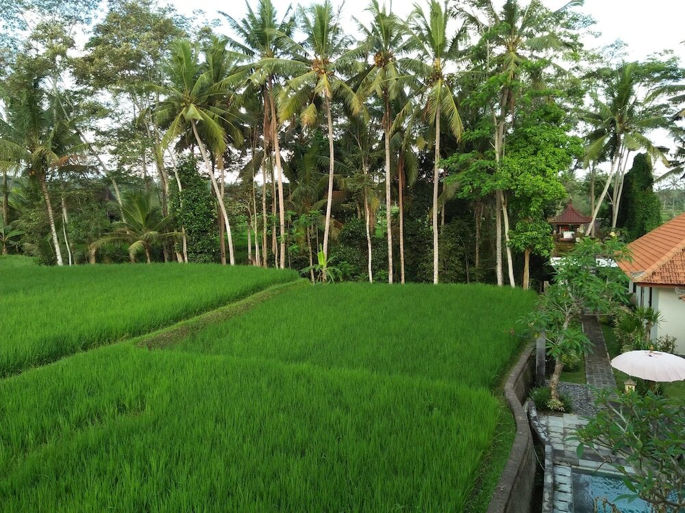 Фото Kubu Bali Baik Villa & Resort