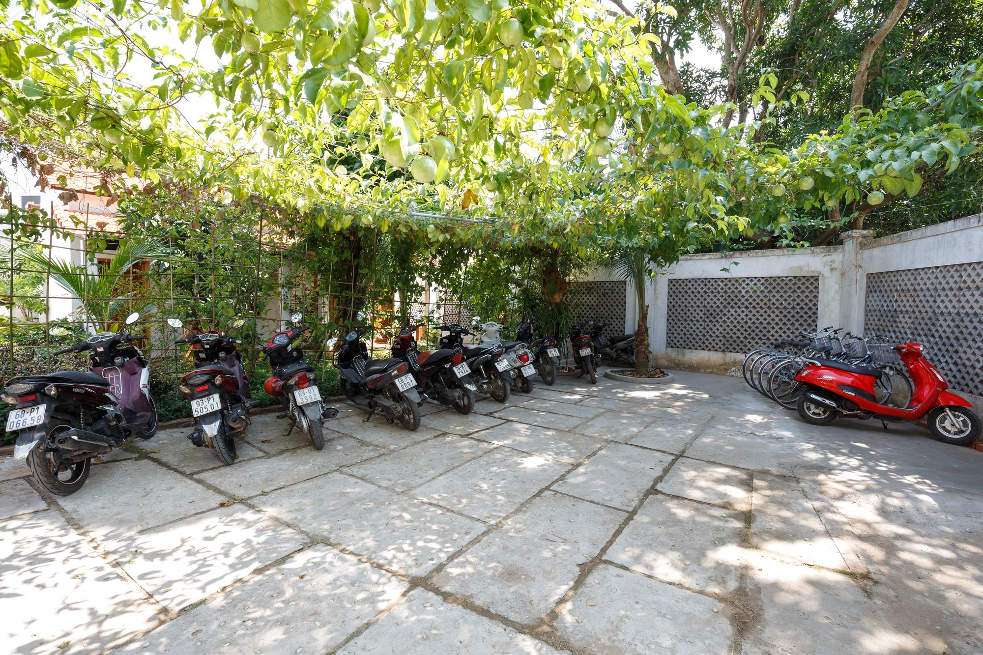 Фото Miana Resort Phu Quoc