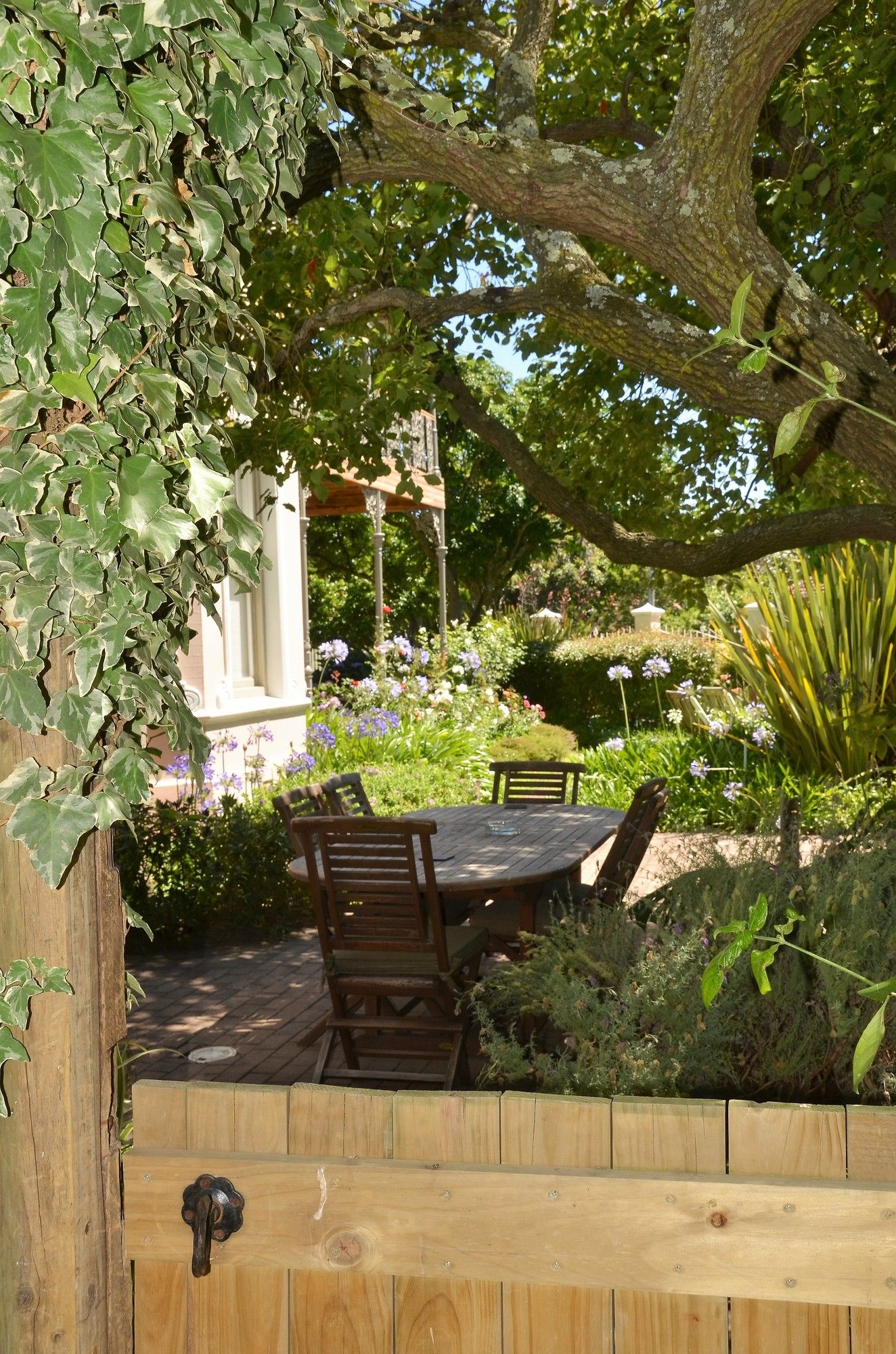 Фото Medindi Manor