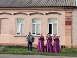 Заборовский сельский клуб (derevnya Bolshoye Zaborovye, Volnaya ulitsa, 56А), house of culture