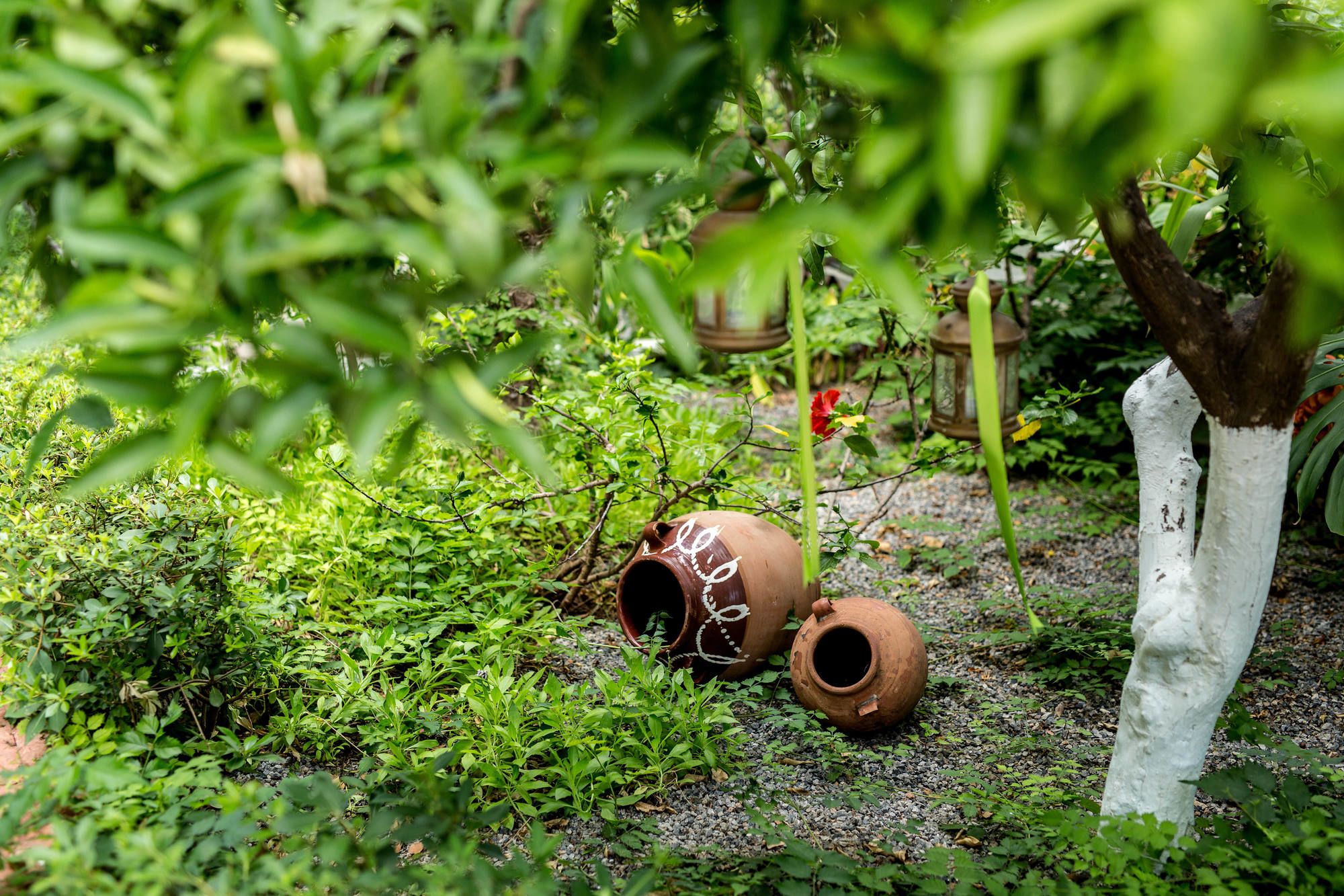 Фото Oasis Apartments