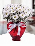 Tutku Cicekcilik (İzmir, Ödemiş, Saracoğlu Cad., 75) ، محل زهور