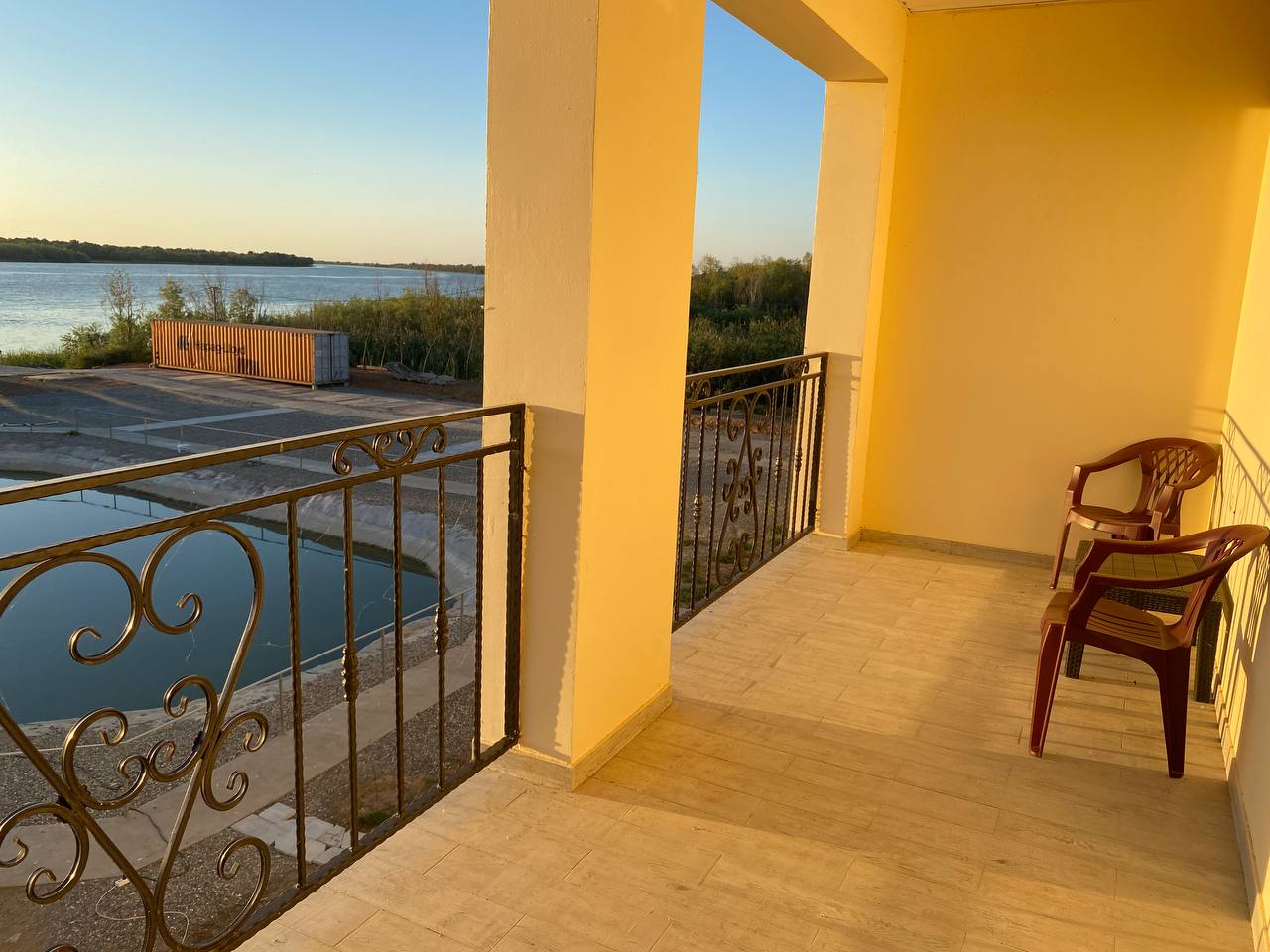 Фото Белый лев