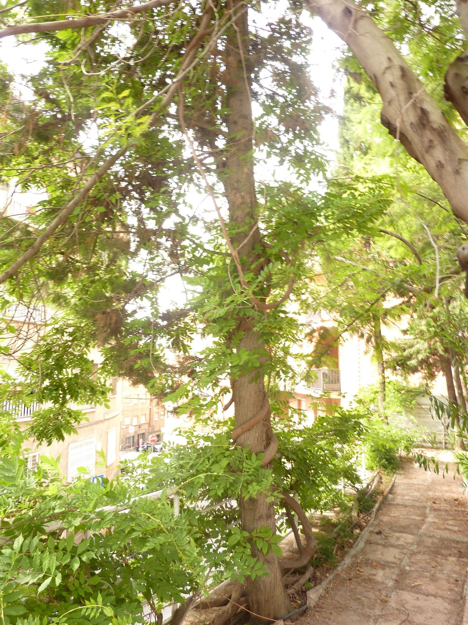 Фото Casa Vilaró