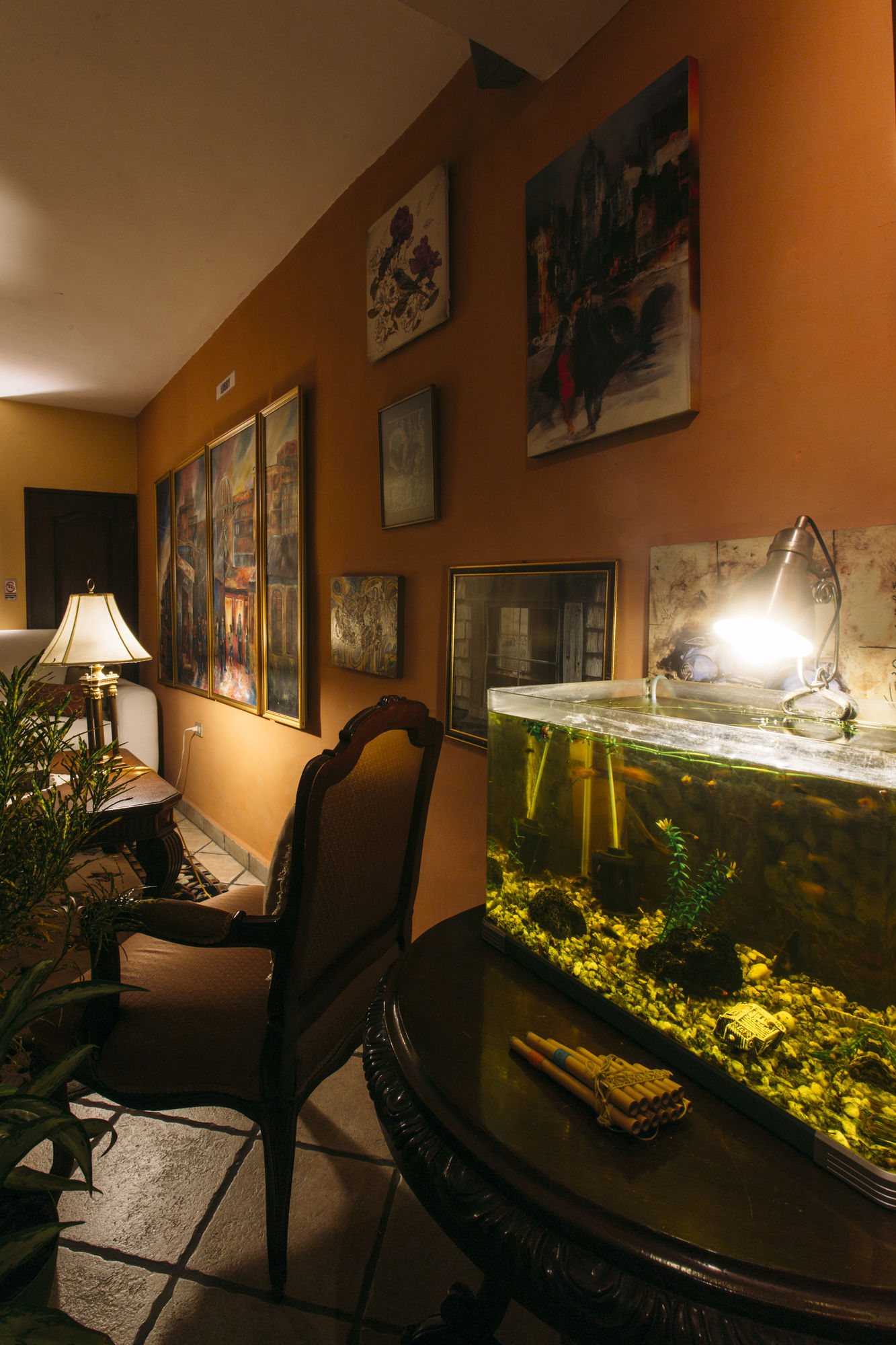 Фото Morrison Hotel San Salvador