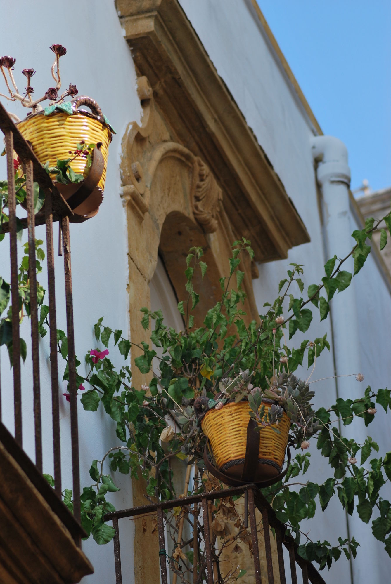 Фото Alla Giudecca