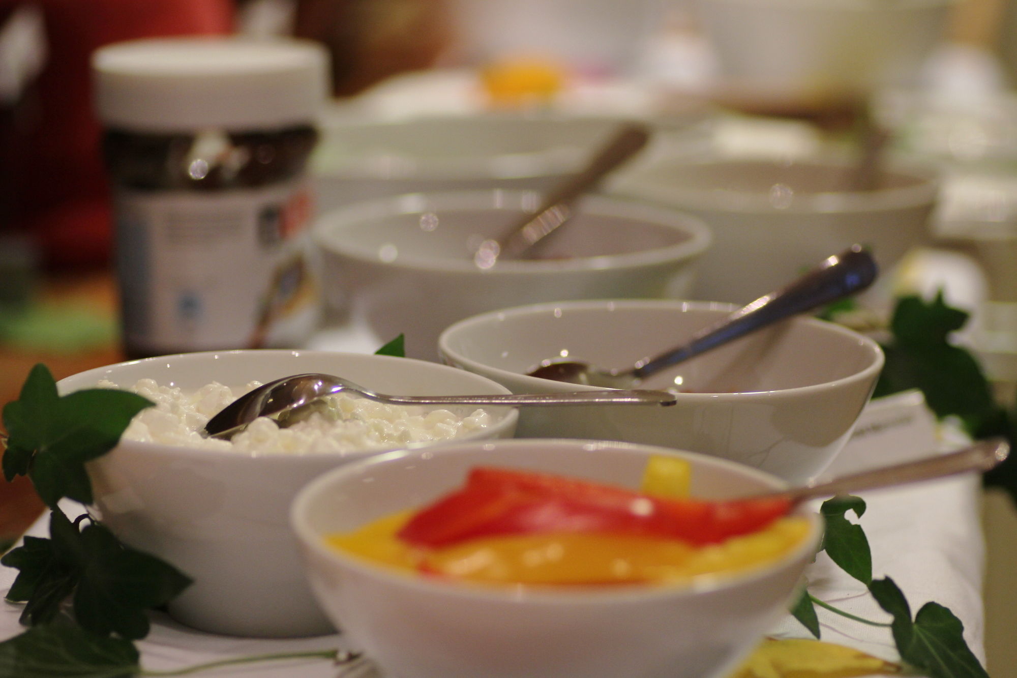 Фото Hotel Tornet