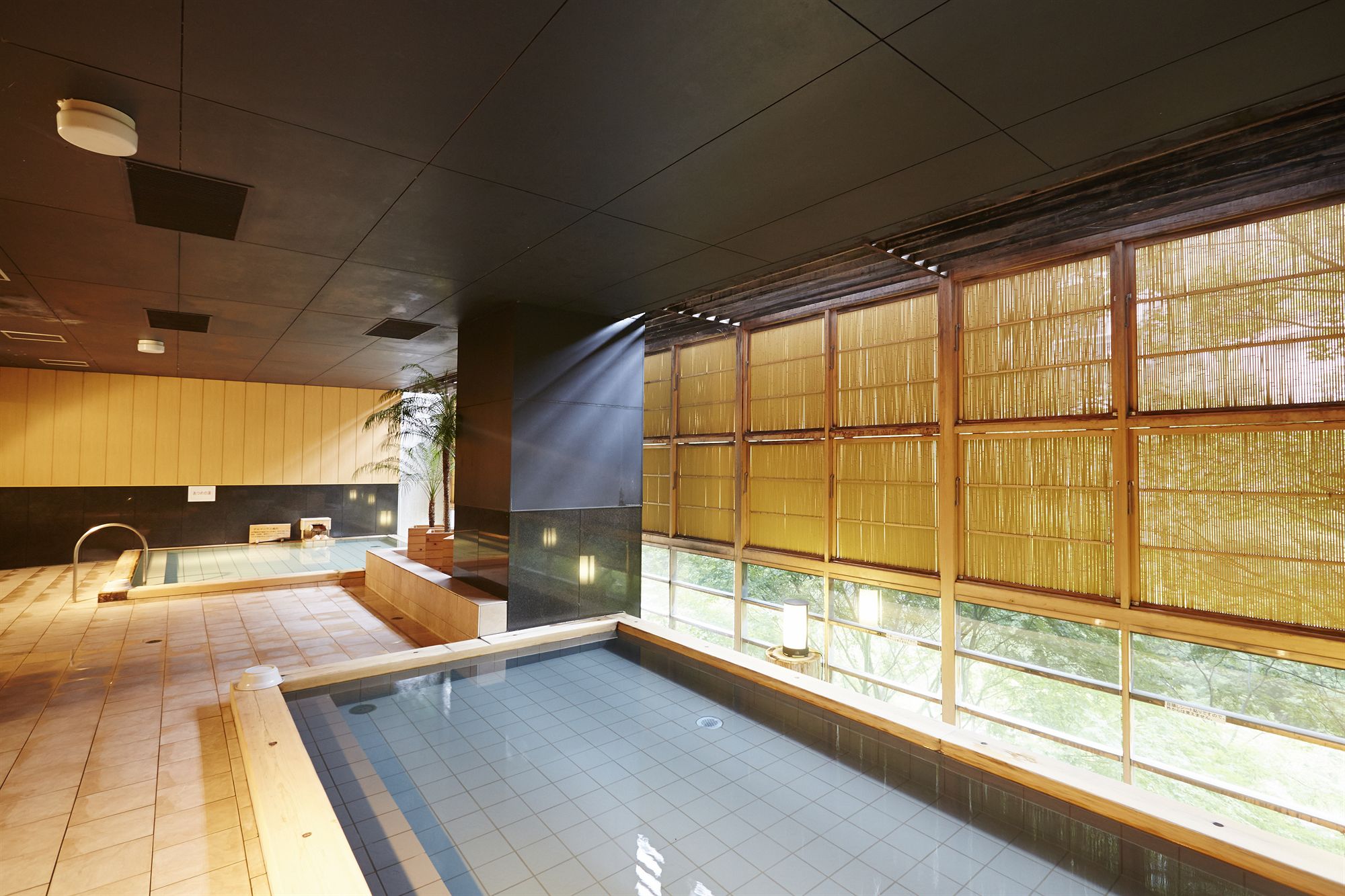 Фото Kinugawa Onsen Hotel