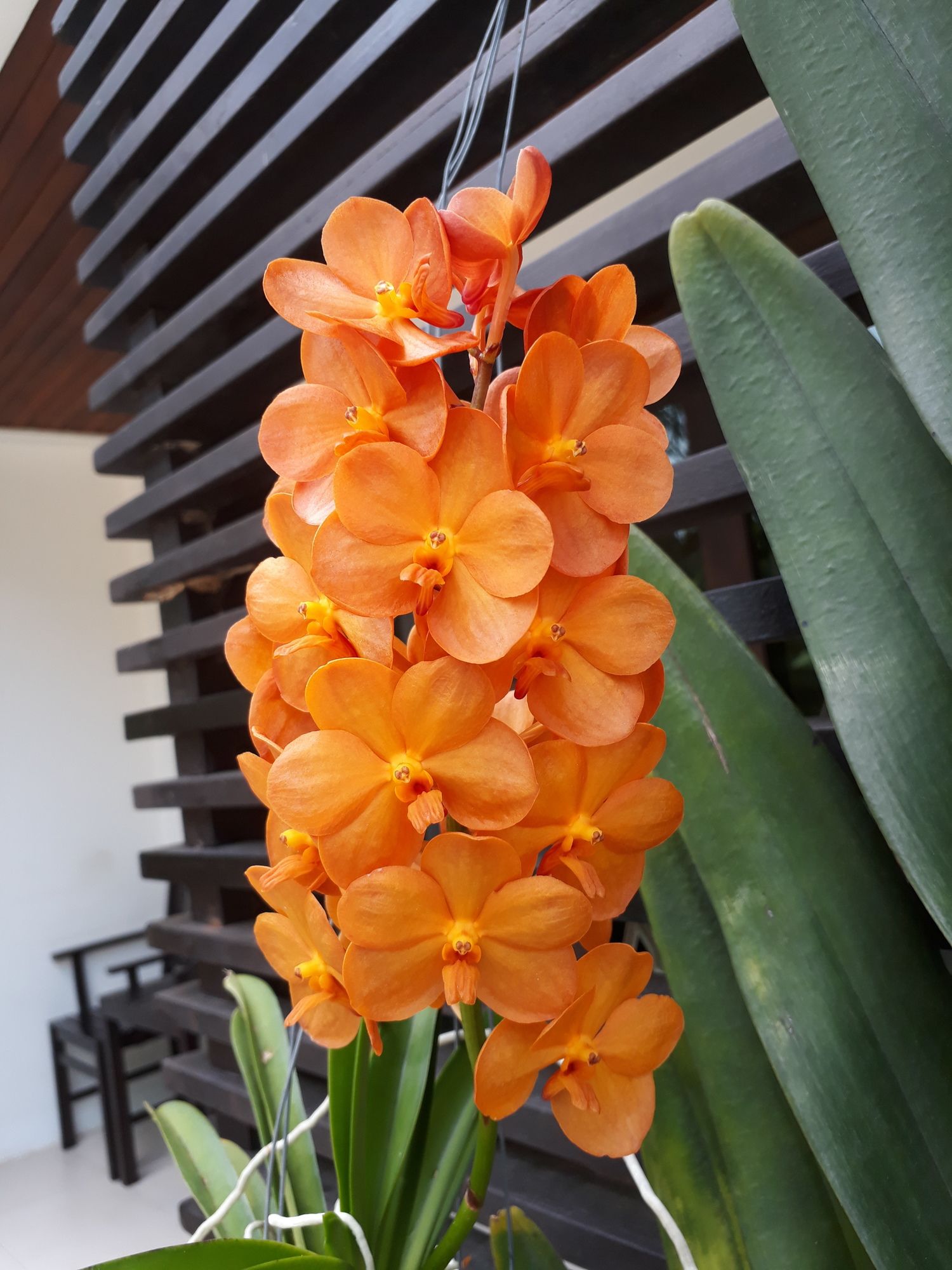 Фото Ampha Place Hotel