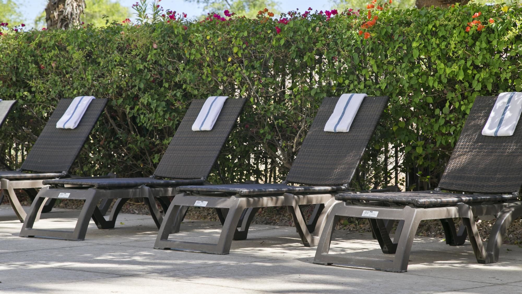 Фото Best Western Plus Mesa