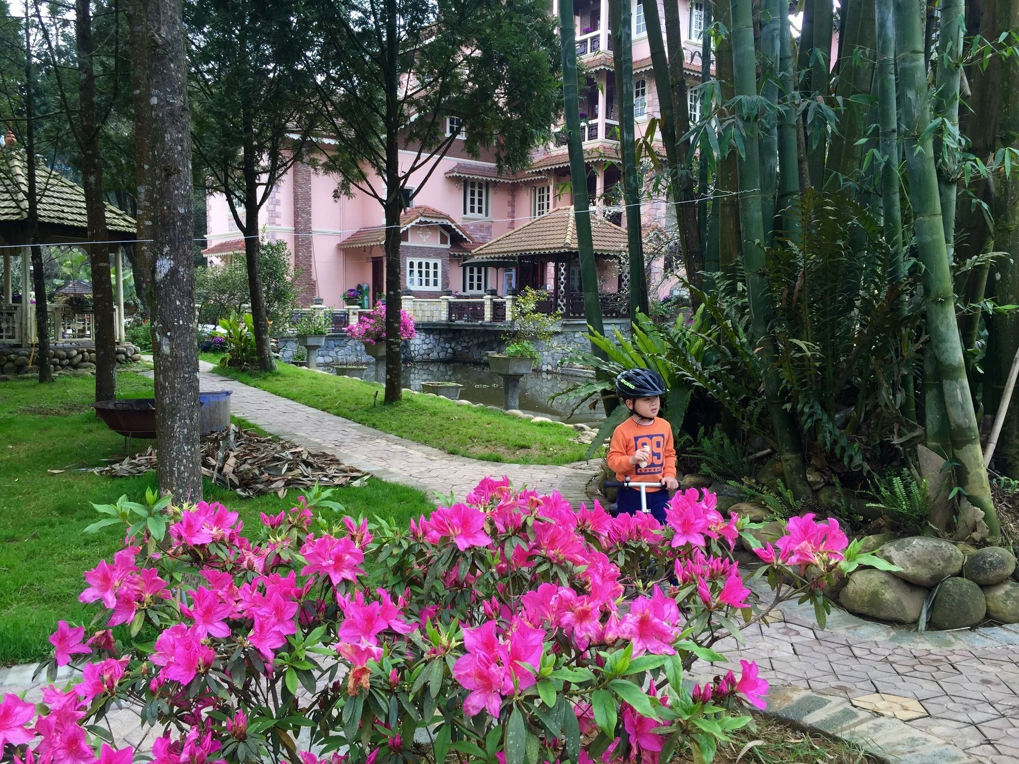 Фото Гостевой Дом Sapa Garden