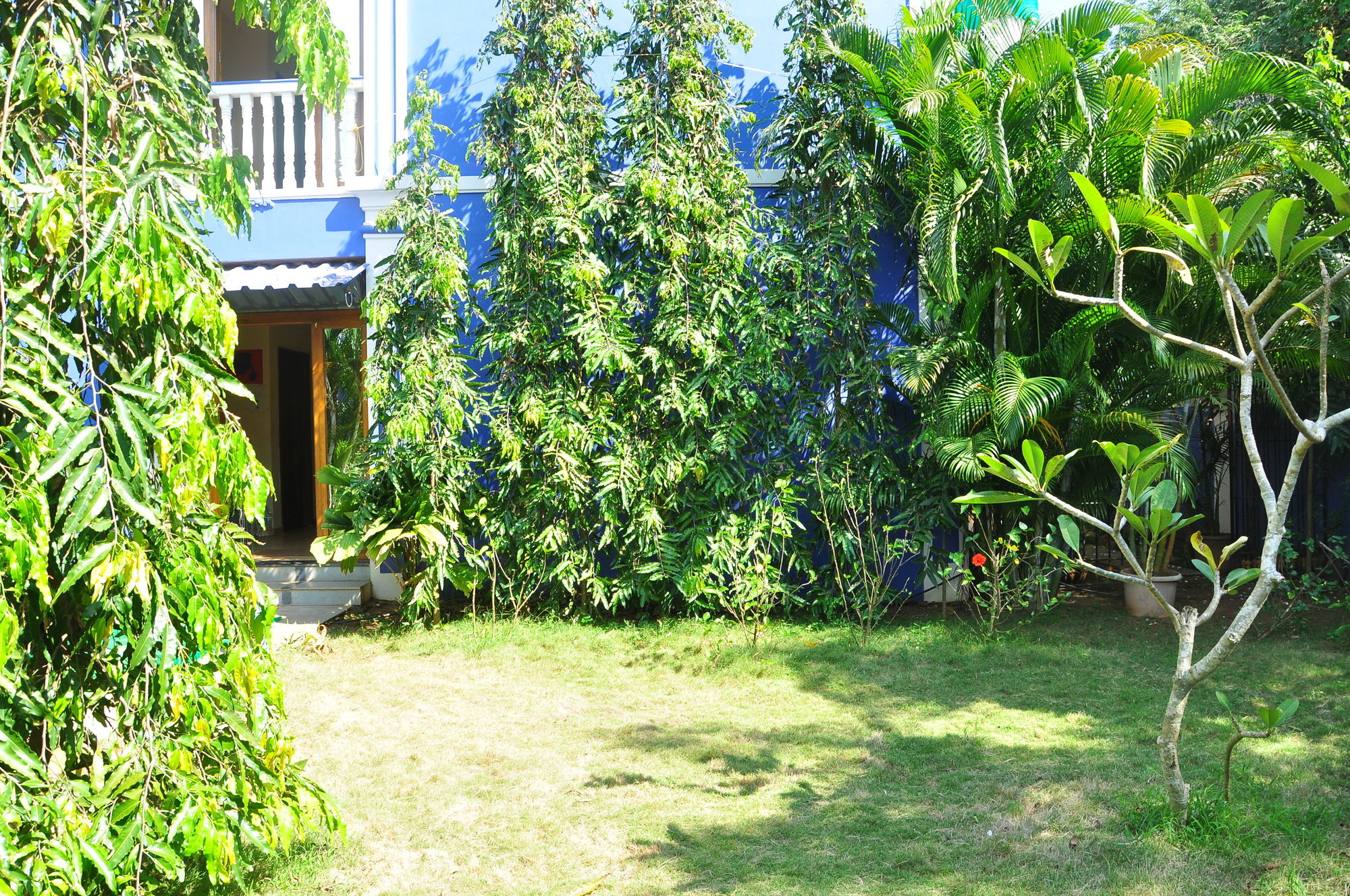 Фото Mayflower Beach Resort