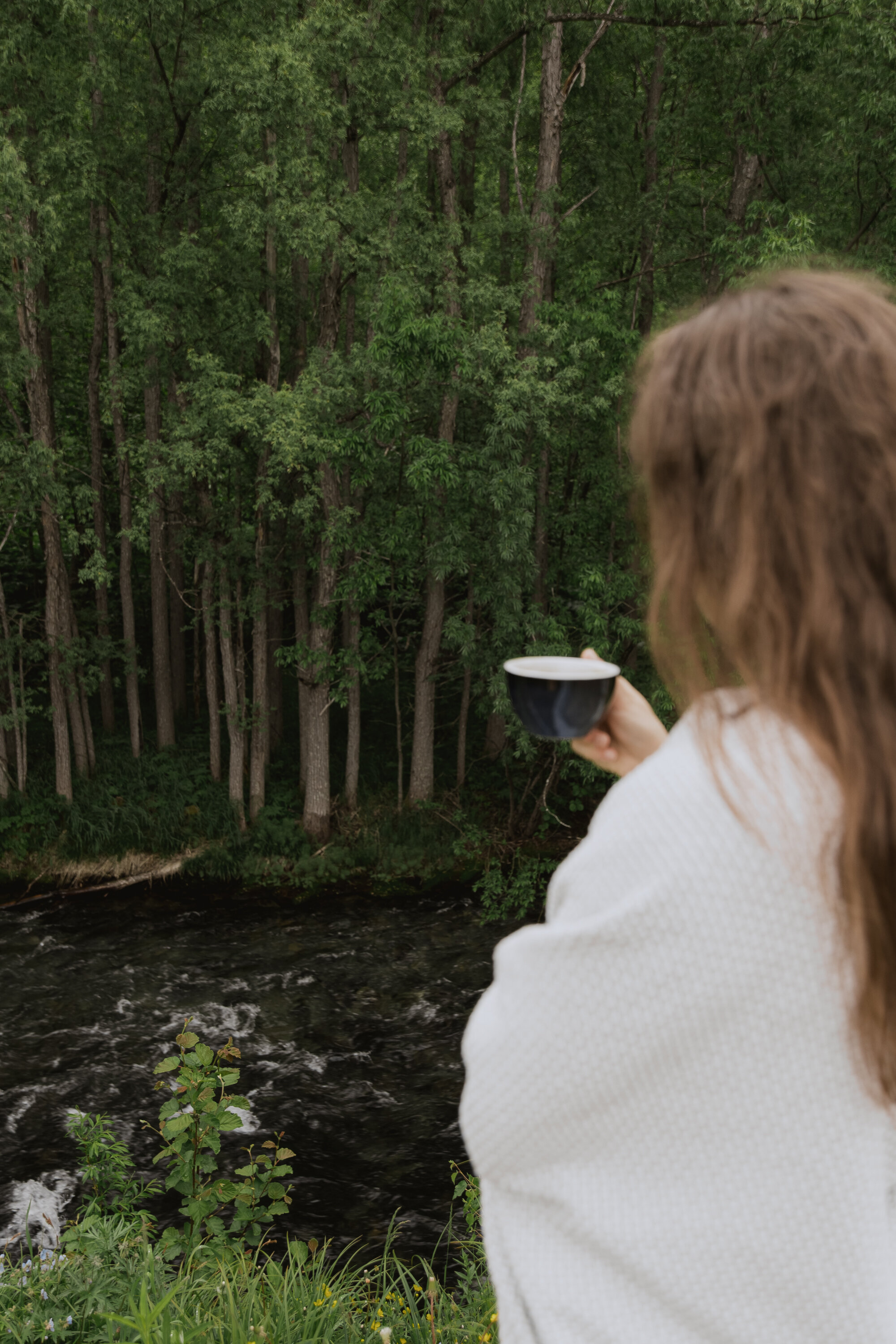 Фото Шале Дача