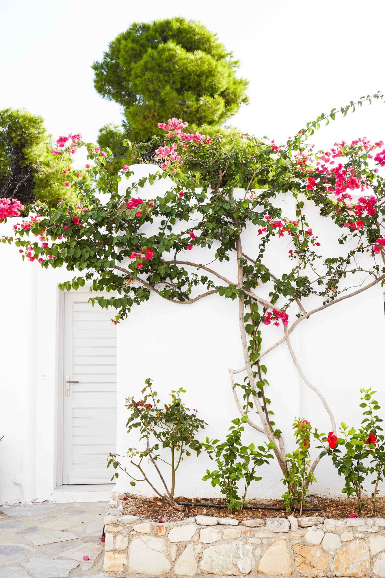 Фото Marpunta Resort