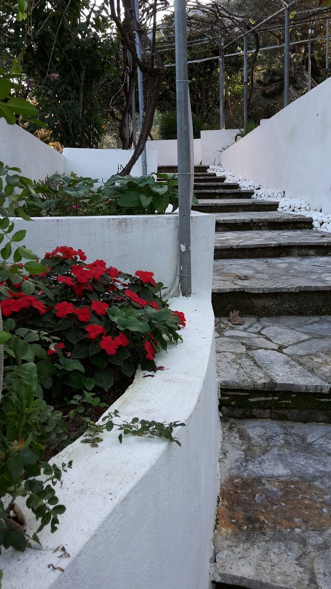 Фото Gina Studios