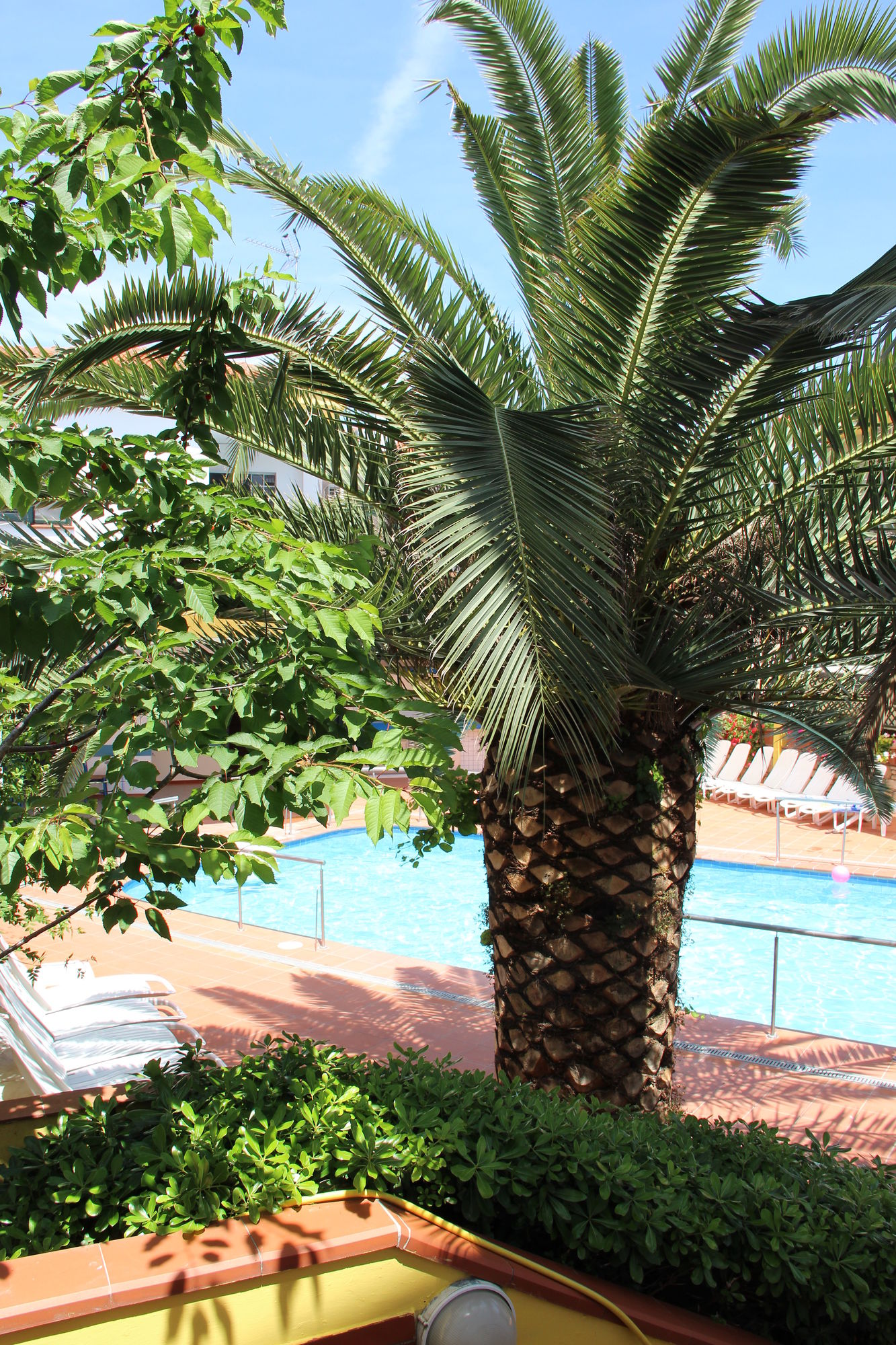 Фото Elia Apartments