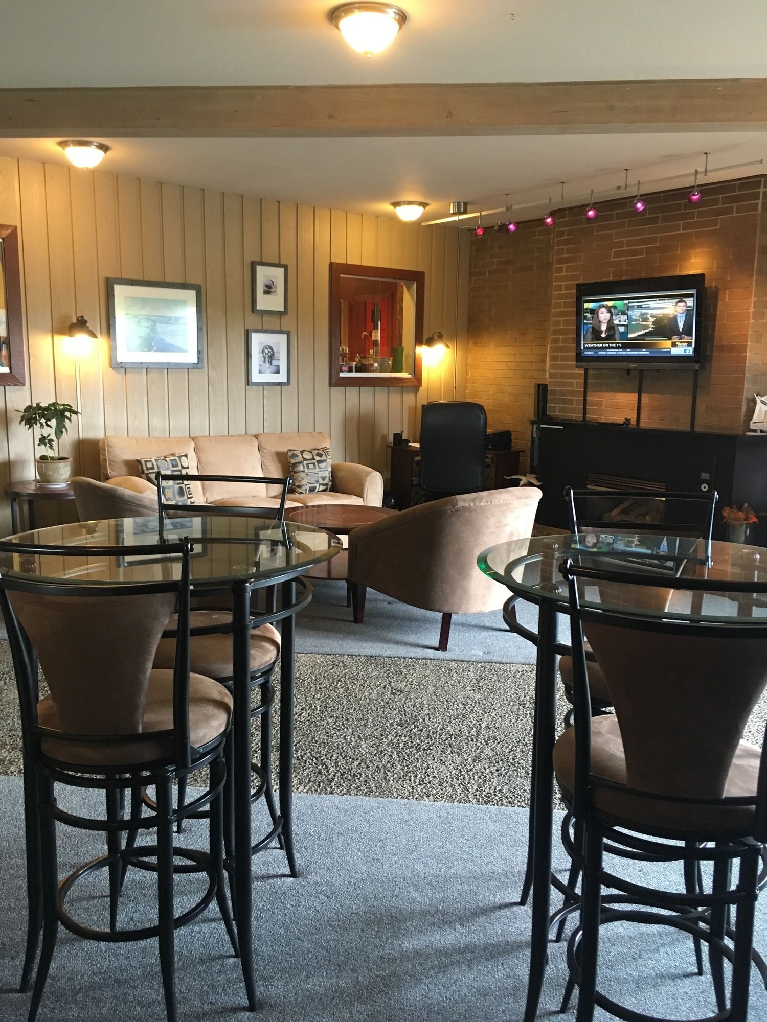 Фото The Grey Gull