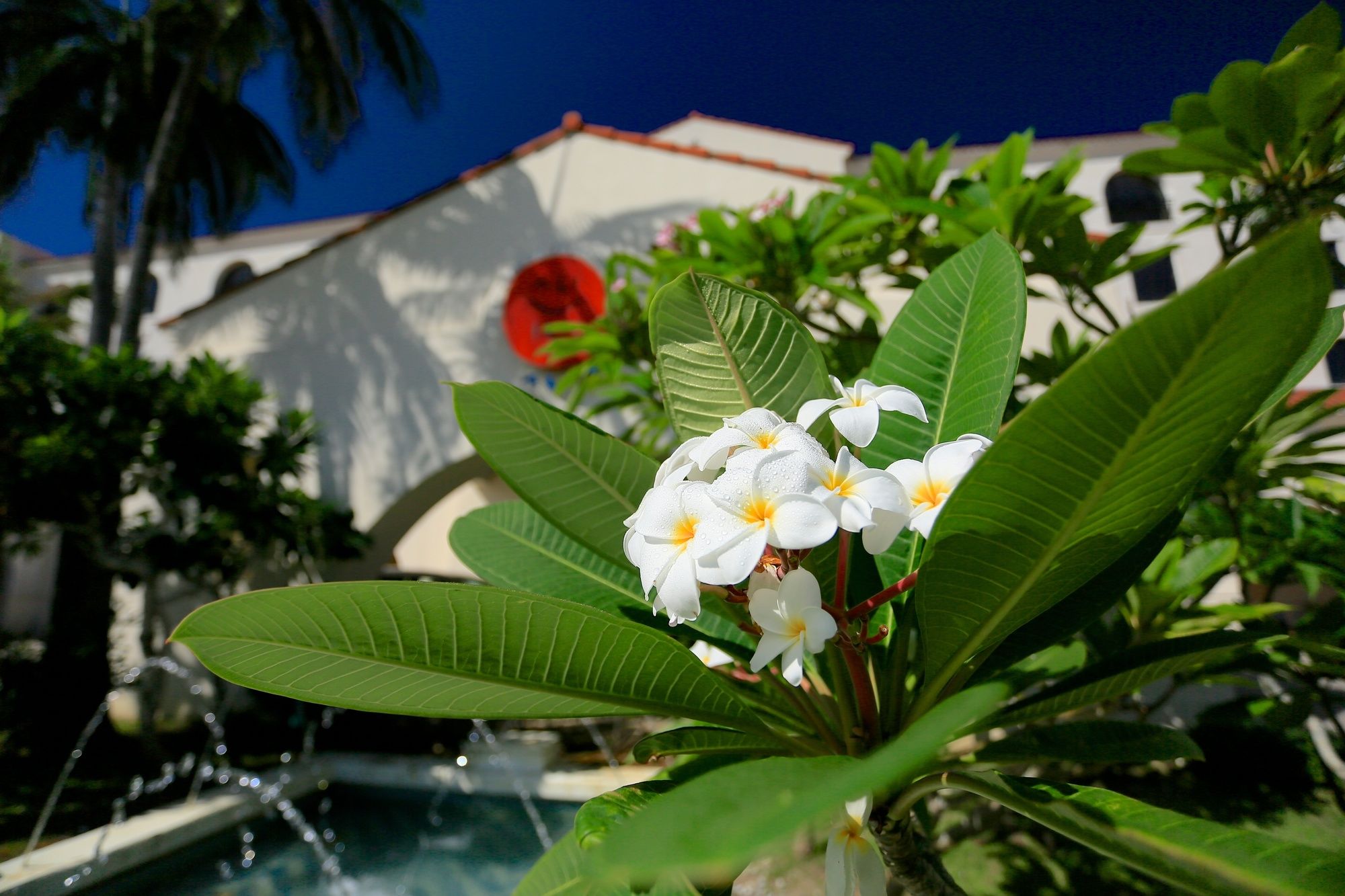 Фото Hotel Nikko Alivila Yomitan Resort Okinawa