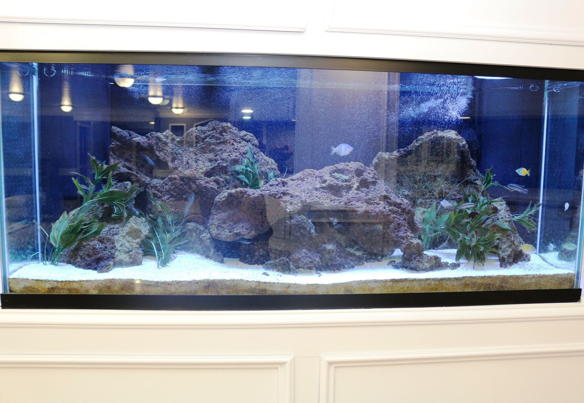 Фото Country Inn & Suites by Radisson, North Little Rock, Ar