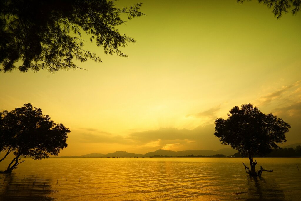 Hotel The Mangrove by Blu Monkey, Phuket Province, photo