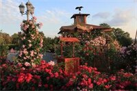 Фото Blanco River Hotel