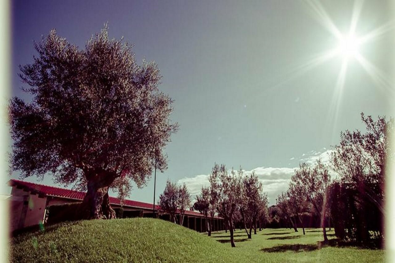 Фото All Ways Garden & Leisure Hotel