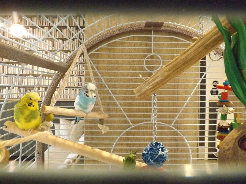 Фото Campanile Rungis – Orly