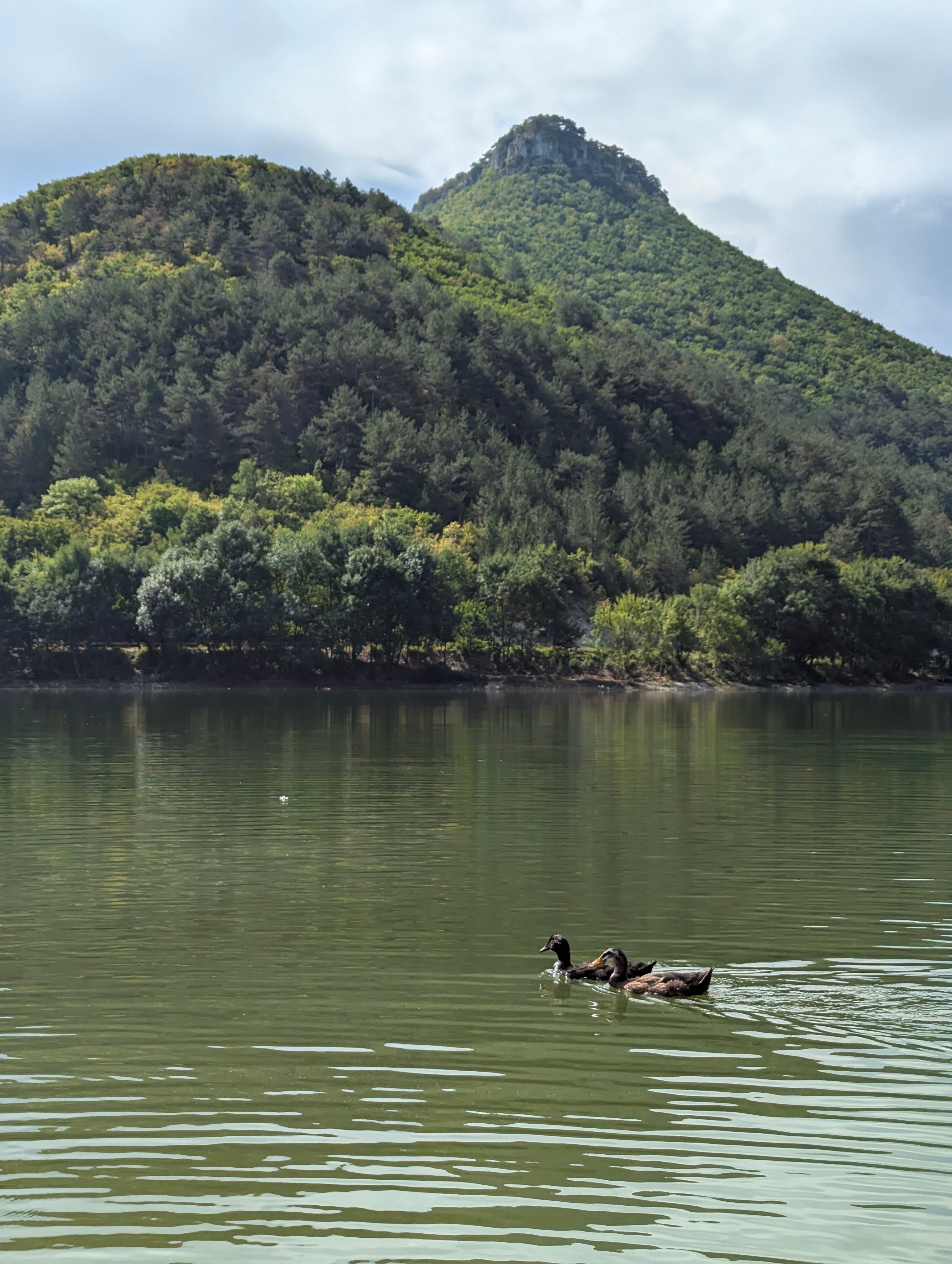 Фото Созвездие Мангуп