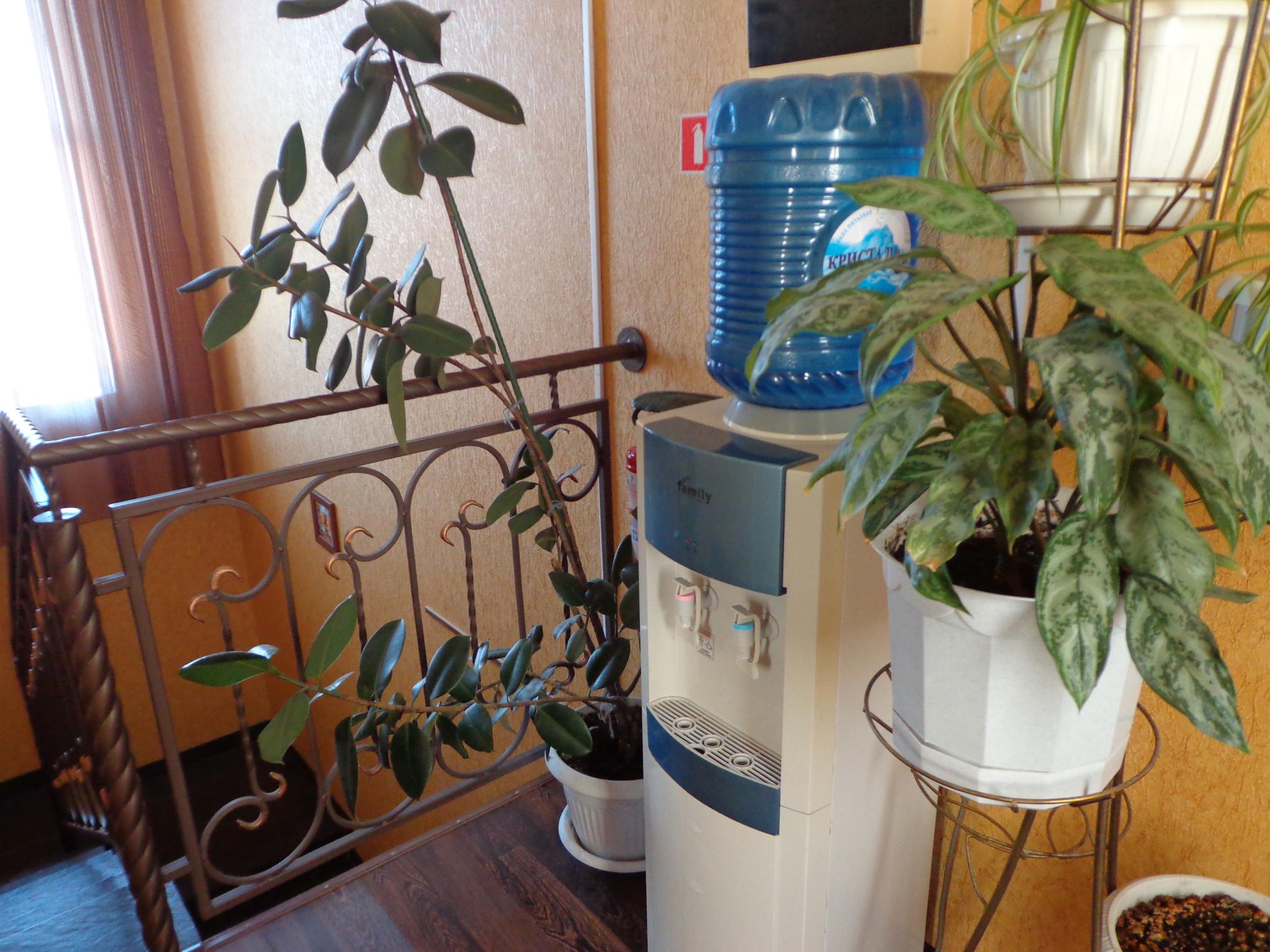 Фото Олимпия