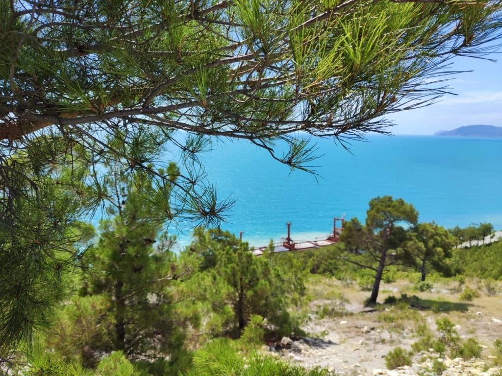 Фото Максим