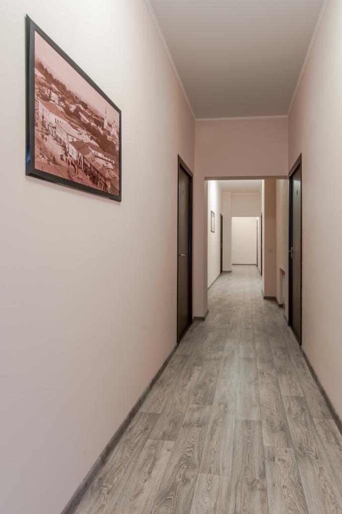 Фото Базилик