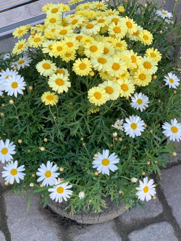 Фото Былина