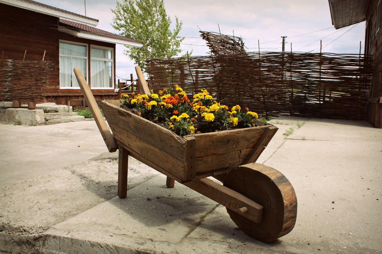 Фото Каменские Плёсы