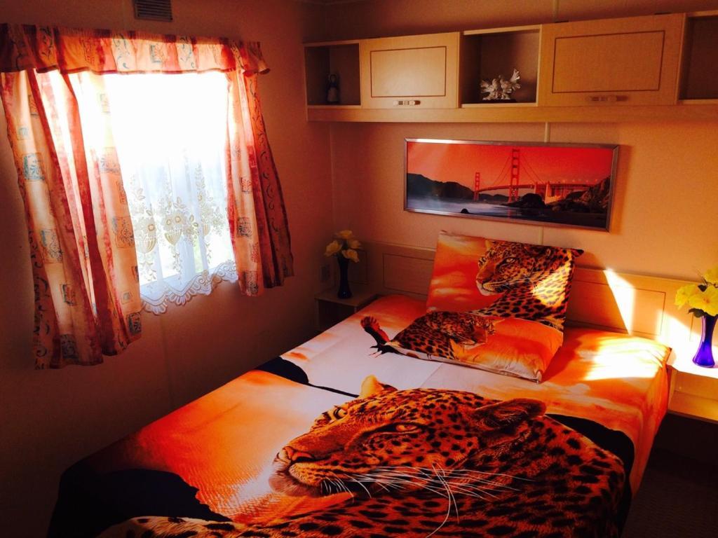 Фото Вальтерра