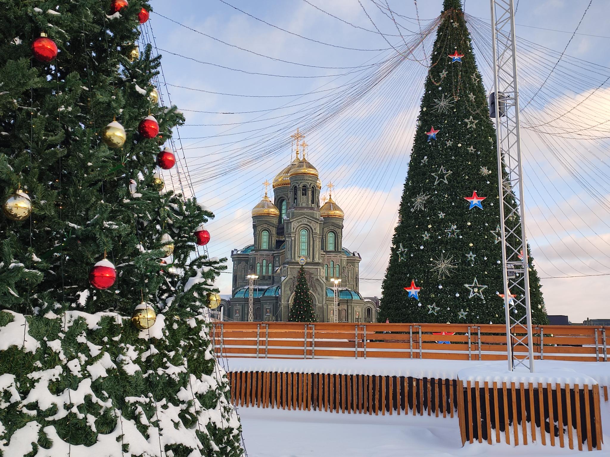 Фото Маршал