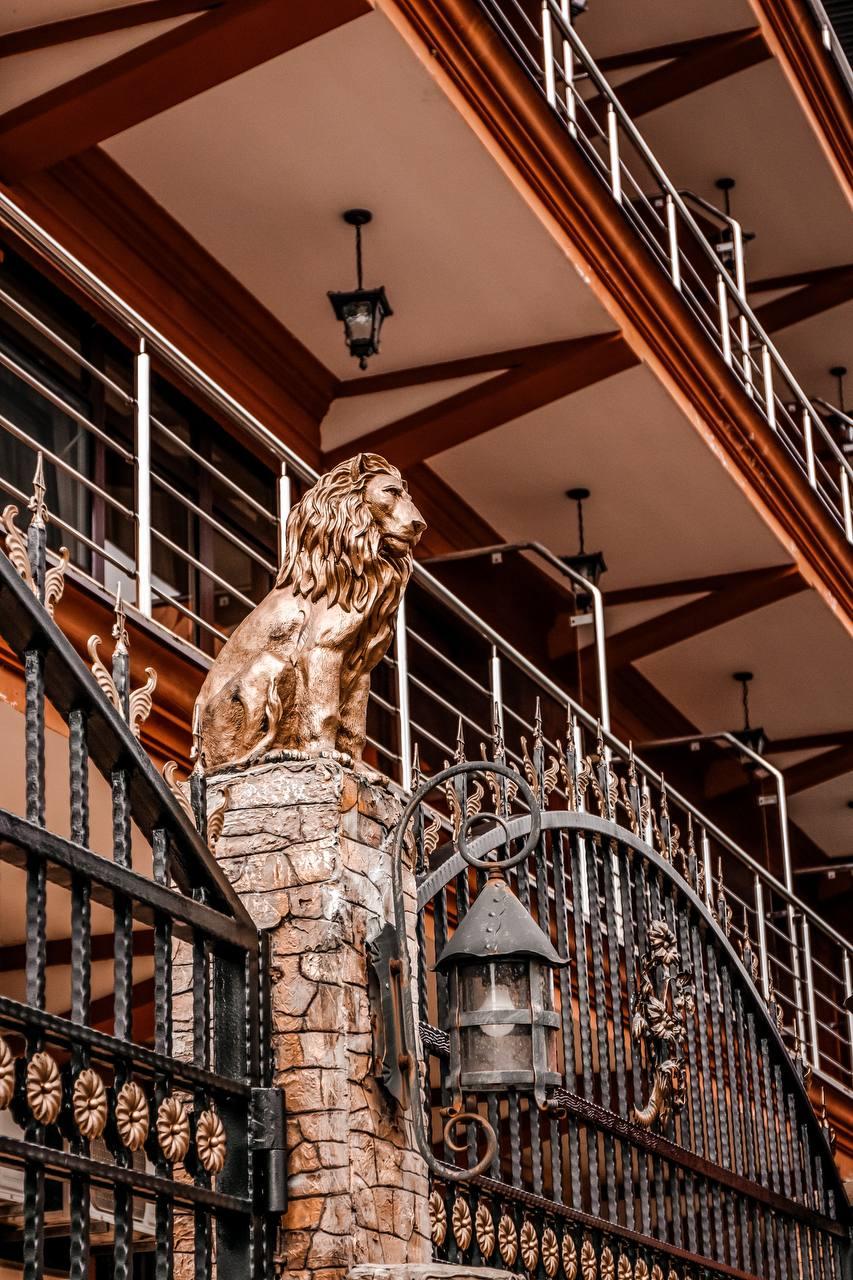 Фото Южный вайб Миракль