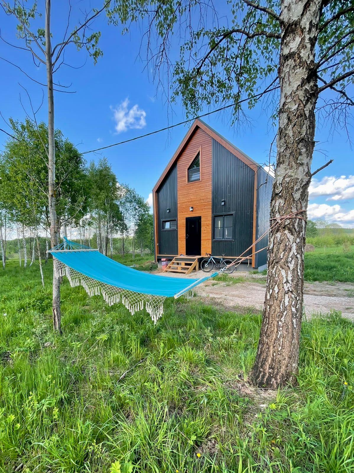 Фото Лаванда