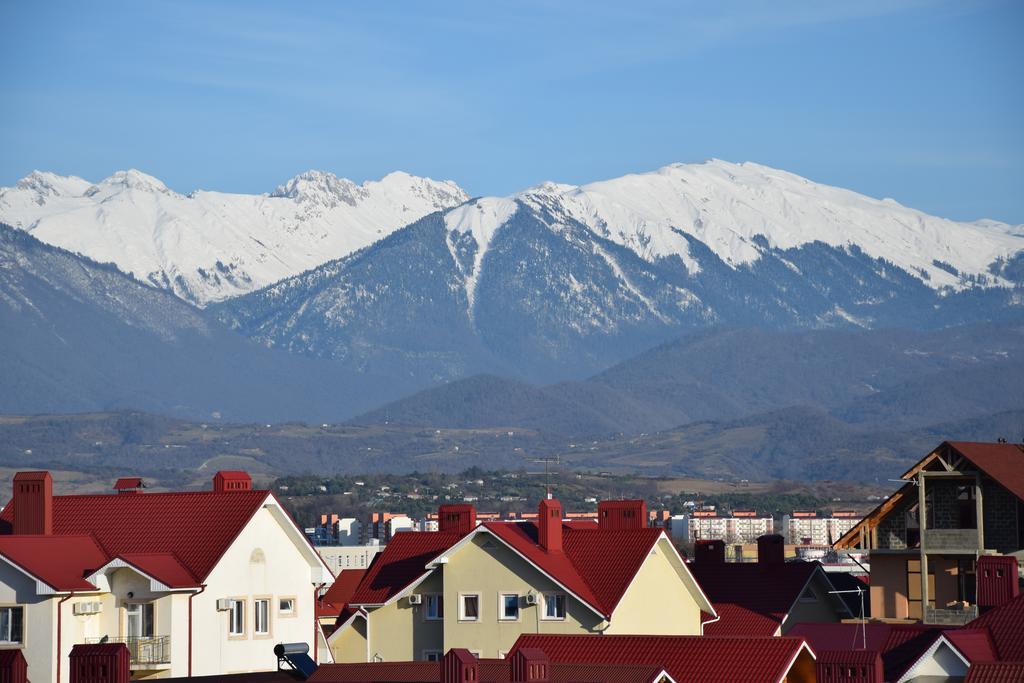 Фото Колибри