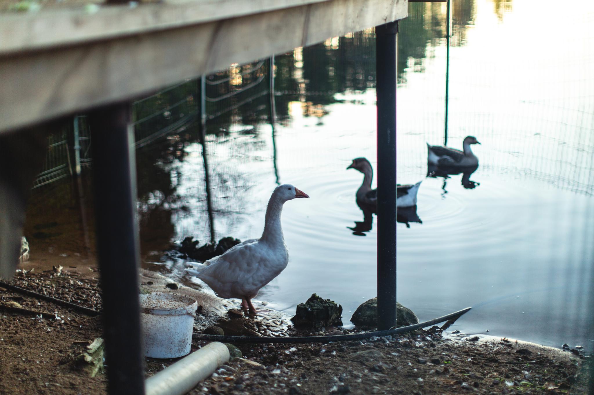 Фото Террасы