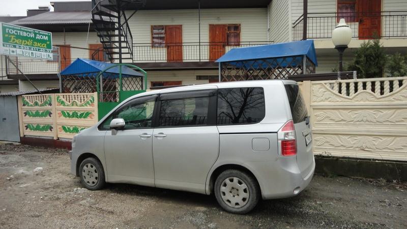 Фото Березка