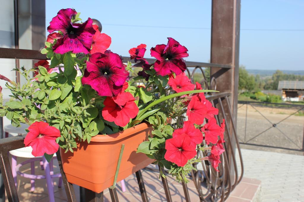 Фото Колесо