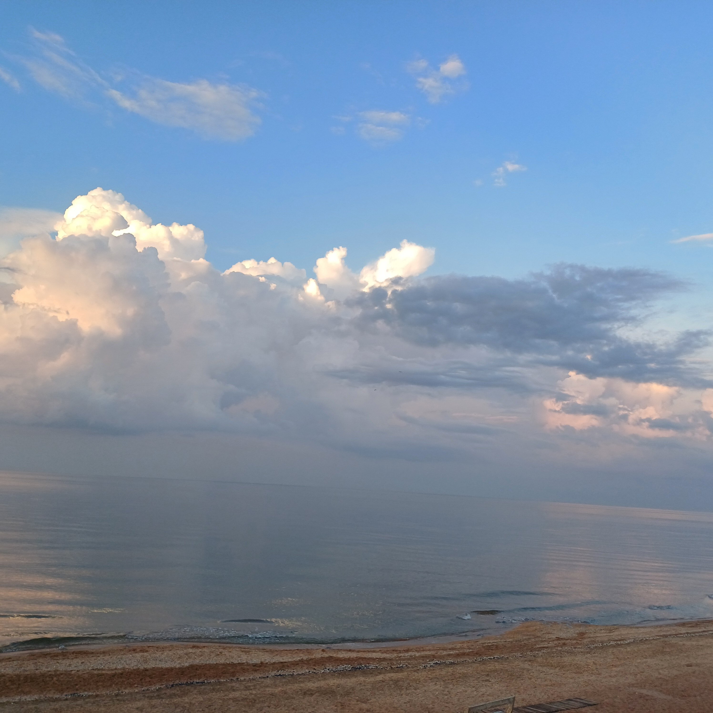 Фото Форвард