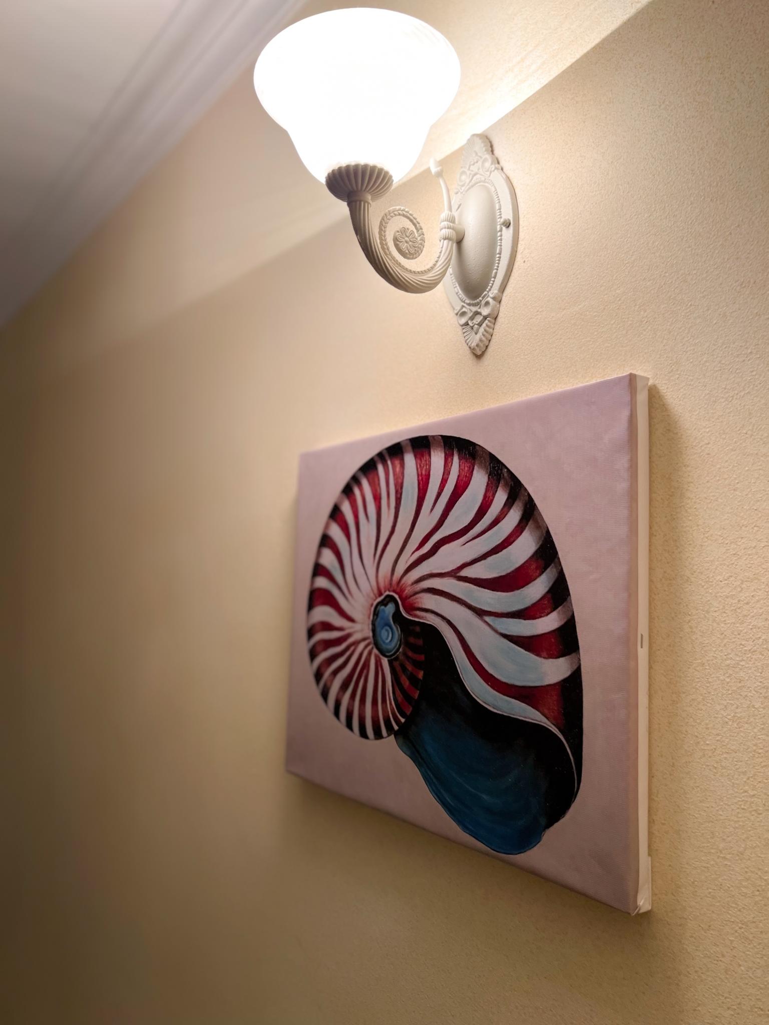 Фото Наутилус