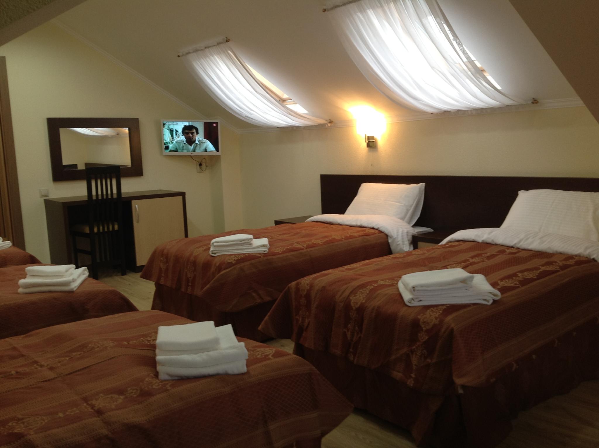 Фото Фламинго