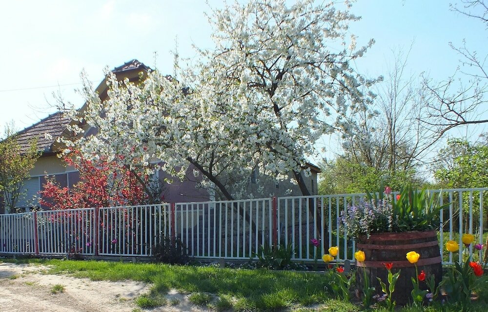 Фото Müllers Ferienhaus Waldhof