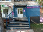 Wildberries (Lepse Street, 61), point of delivery