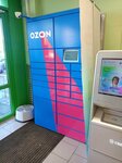Ozon box (Transportnaya Street, 74Б), parcel automat