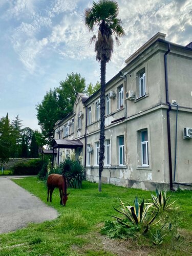 Hospital Пицундская больница, Pitsunda, photo