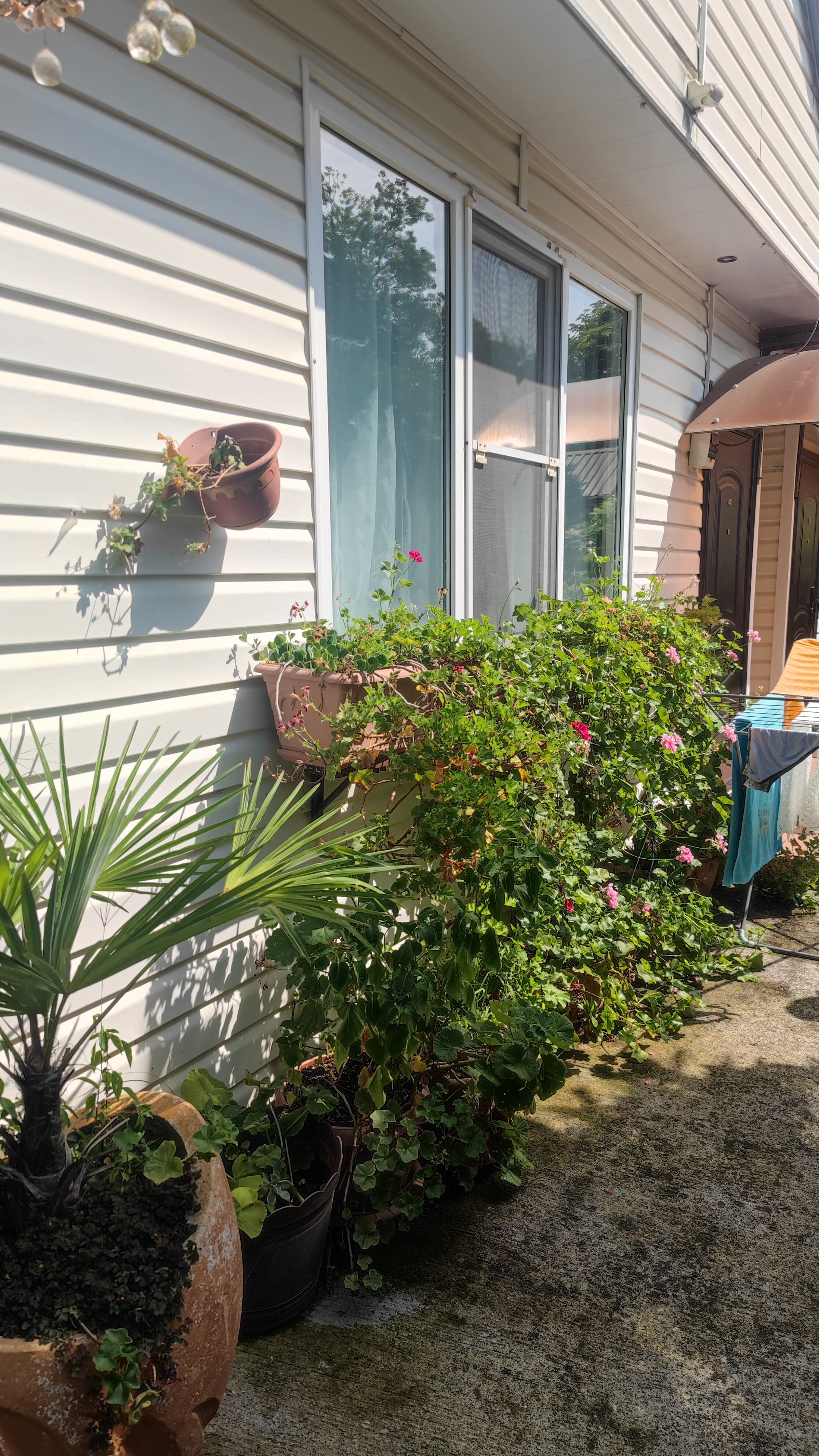 Фото Усадьба